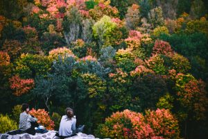 Žmonės geria kavą ant Gedimino kalno ir grožisi rudens spalvomis.