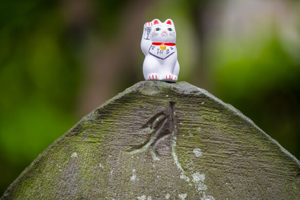 Gotokuji - legendinio mojančio katino šventykla