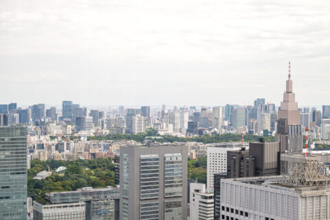 Tokijo metropoliteno pastatas - apžvalgos aikštelė