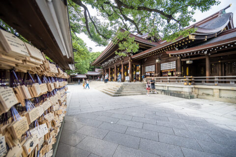 Kelionė į JaponijMeiji Jingu šintoistų šventykla, Harajuku rajonasą